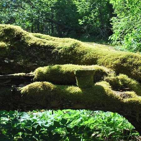 Kirjakkalan Ruukkikylae Teijo Kamer foto