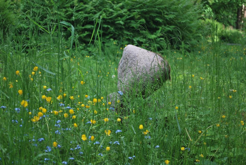 Kirjakkalan Ruukkikylae Teijo Buitenkant foto