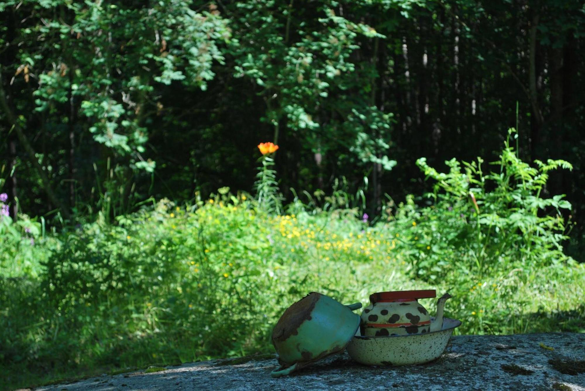Kirjakkalan Ruukkikylae Teijo Kamer foto