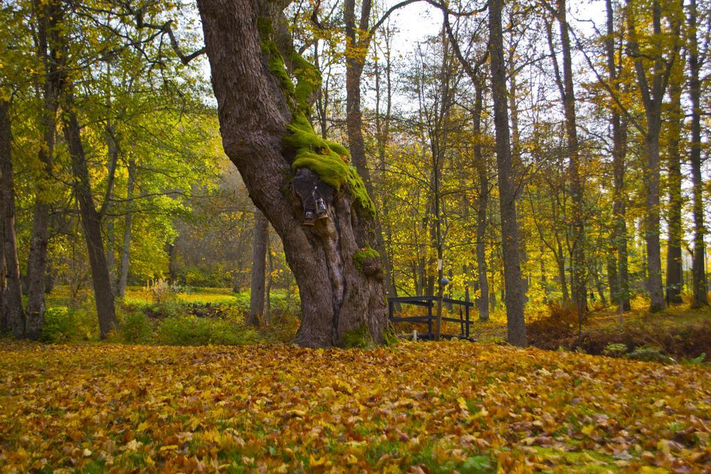 Kirjakkalan Ruukkikylae Teijo Buitenkant foto